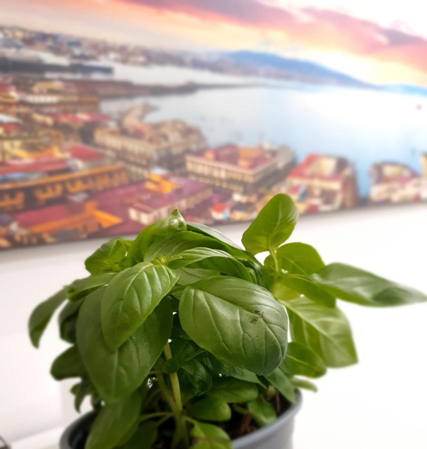 Gaisa Naples - Bed And Breakfast Экстерьер фото